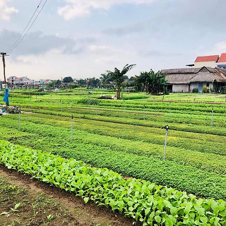 Snow Pearl Homestay Hoi An Exteriör bild
